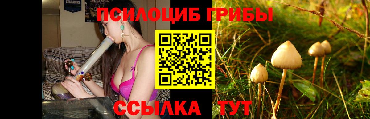 Галлюциногенные грибы Psilocybine cubensis  Псилоцибиновые грибы GOLDEN TEACHER  Новошахтинск  Вход с VPN 